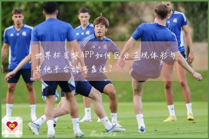 世界杯买球APP如何区分正规体彩与其他平台的可靠性?