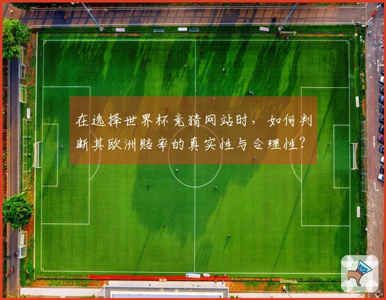 在选择世界杯竞猜网站时，如何判断其欧洲赔率的真实性与合理性？
