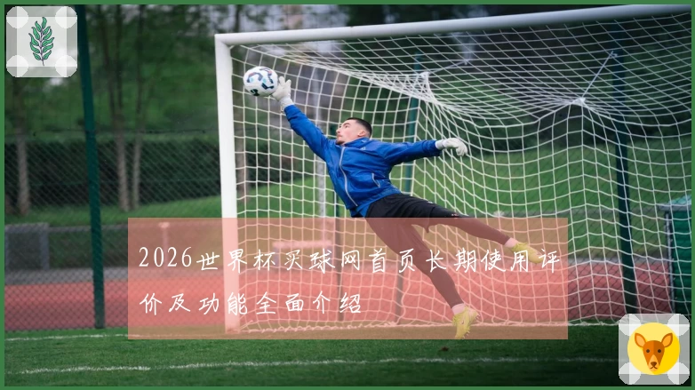 2026世界杯买球网首页长期使用评价及功能全面介绍