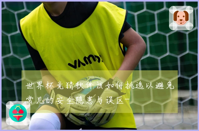 世界杯竞猜软件该如何挑选以避免常见的安全隐患与误区-