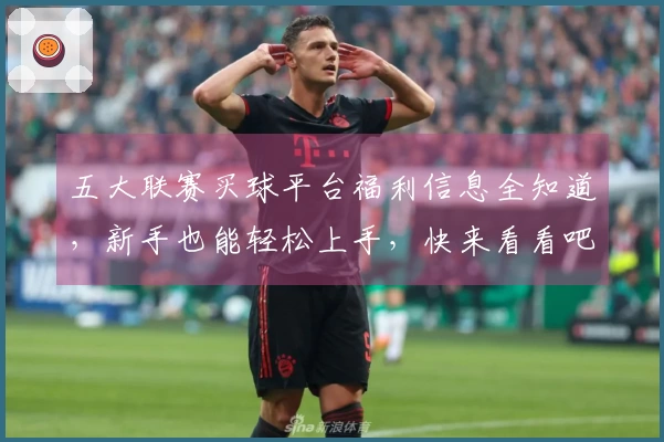 五大联赛买球平台福利信息全知道，新手也能轻松上手，快来看看吧