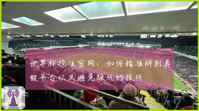 世界杯投注官网，如何精准辨别真假平台以及避免踩坑的技巧