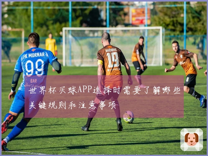 世界杯买球APP选择时需要了解哪些关键规则和注意事项