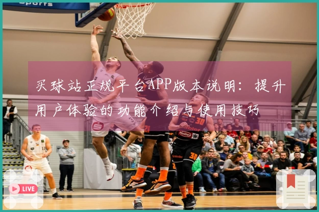 买球站正规平台APP版本说明：提升用户体验的功能介绍与使用技巧