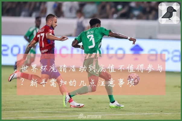 世界杯竞猜活动到底值不值得参与？新手需知的几点注意事项