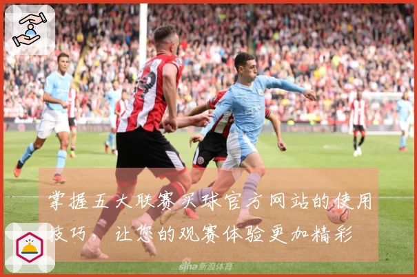 掌握五大联赛买球官方网站的使用技巧，让您的观赛体验更加精彩