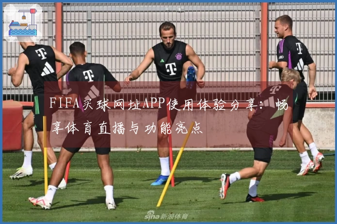 FIFA买球网址APP使用体验分享：畅享体育直播与功能亮点